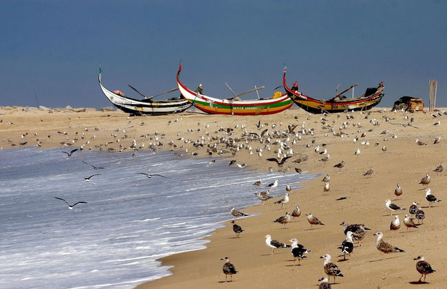 Hotel Apartamento Solverde - Foto 66