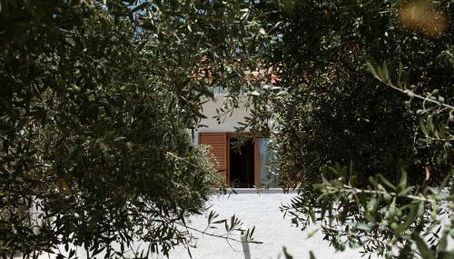 Villa Aelia Kefalos-Private & Spacious with Pool - Foto 4, Garden