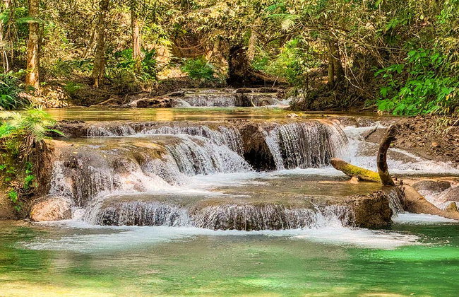 Excursion aux cascades de Llano Grande - Foto 15