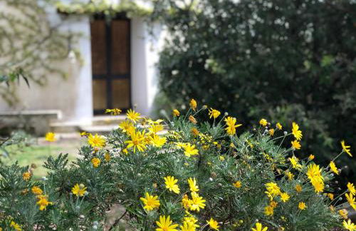 Masseria La Torre - Foto 21