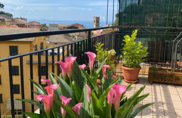 LA TERRAZZA DI MONTEROSSO - Photo 31