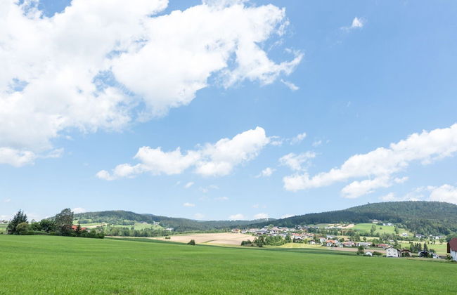 Scenic Apartment in Ulrichsberg near Museum & Jazz Club - Foto 36