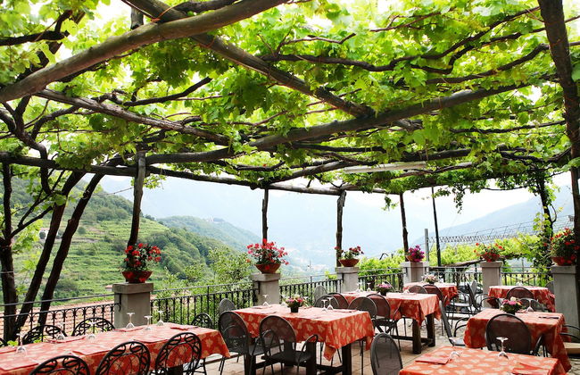 Agriturismo Il Raduno - Foto 29