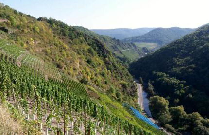 Ferienunterkunft Börner - Foto 19