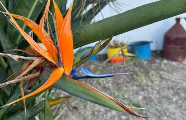 Monte Santo - Foto 36