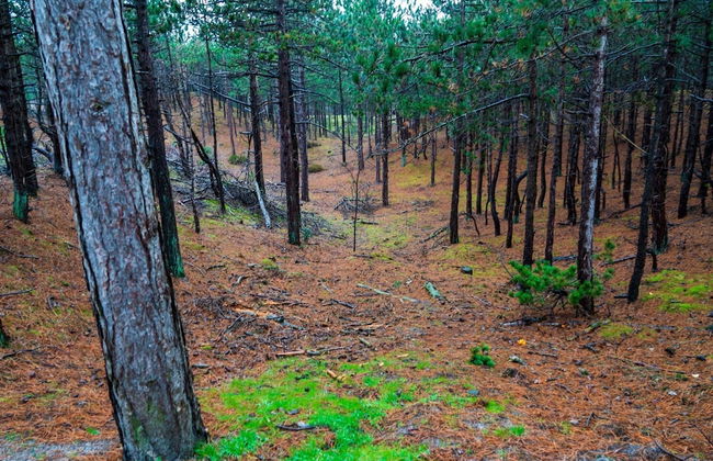 Cosy Holiday Flat 'bolle Bet' Near Beach - Photo 33