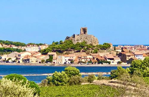 Maison du Midi, 2 Gîtes de charme - Foto 68