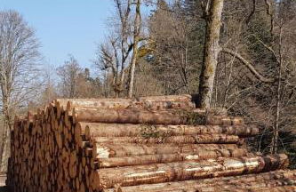 Apartment Bär by Interhome - Foto 79