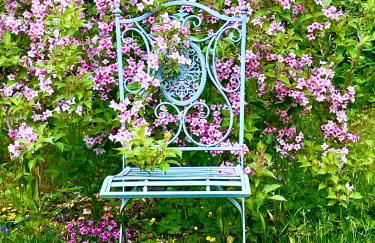 Studio im Haus Amselgarten - Foto 12