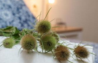 Apartamento rural Ca La Rumbeta en La Fresneda - Foto 28