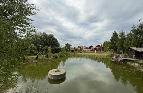 Agroturystka Jaśkowo - Foto 7