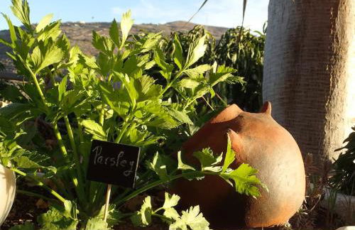 DRAGO 100, quiet and friendly - Foto 59