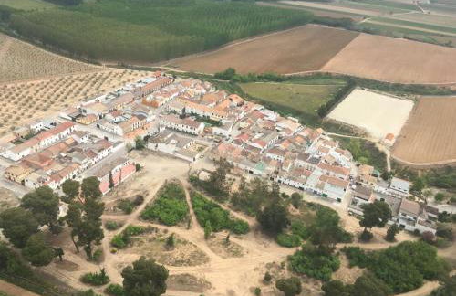 La Choza de Trasmulas - Foto 16