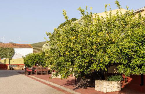 Tenuta dei Principi di Spadafora - Foto 48