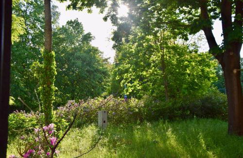 Stilvolle Wohnung mit Balkon & Parkplatz - Foto 10