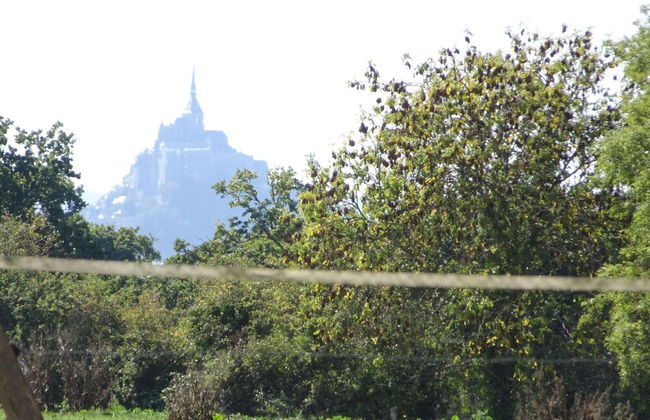 Norman Property With Pool, bay of Mont St. Michel - Foto 39