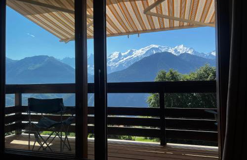 Vue du Mont-Blanc - Photo 11