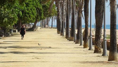 Duplex en frente de la playa al lado de Barcelona - Foto 2