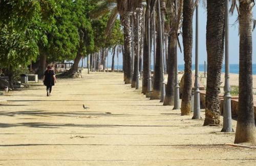 Duplex en frente de la playa al lado de Barcelona - Foto 2