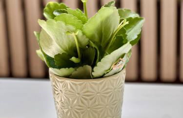 La Milanesina - Foto 21