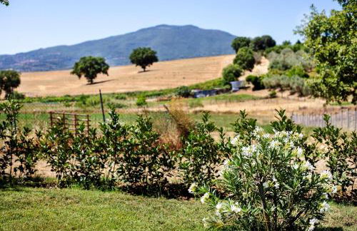 Agriturismo Poggio Degli Ulivi - Foto 43