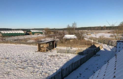 Hirtenwohnung im Arbeiterhaus - Foto 2