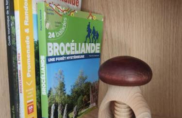 Lodge avec spa au coeur de Brocéliande - Foto 8