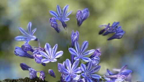 Cottage Sleeps 12 with Pool and Parking - Foto 3