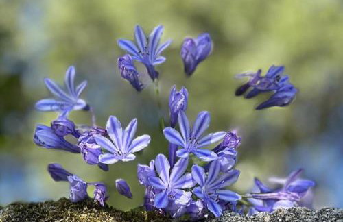 Cottage Sleeps 12 with Pool and Parking - Foto 41