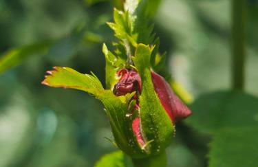 A Home Away From Home - Photo 35