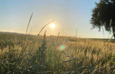 WOODWOOD Apartment near Airport Stuttgart - Foto 6