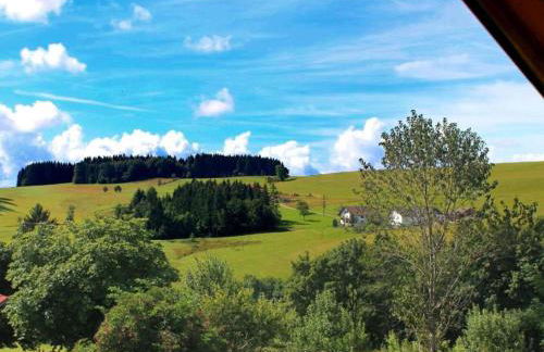Apartment in Dachsberg-urberg - Foto 70
