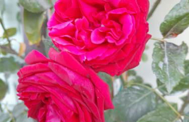 Appartamento Rosanna - Foto 61