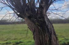 Żurawisko - Domki wśród natury - Foto 59