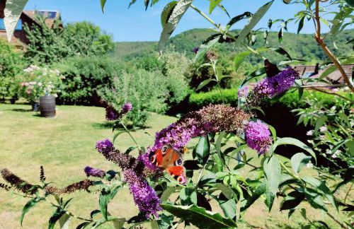 Ferienwohnung Edersonne - Foto 4