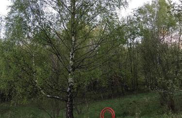 Chata filozofa pod Policą - Foto 40