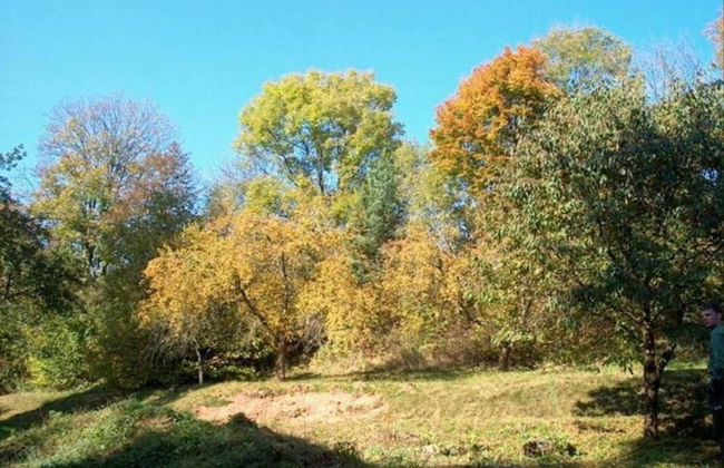 Former Parsonage in Western Bohemia - Foto 37