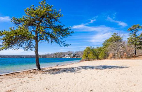 Nature Lover's Pondside Getaway - Photo 2