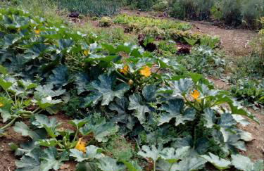 Case Cordovani - Foto 56