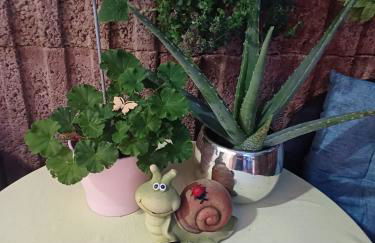 Ferienwohnung Neli am Rhein - Foto 2