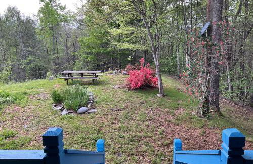 Hancock Hills Smoky Mountain Retreat CosbyTN - Foto 23