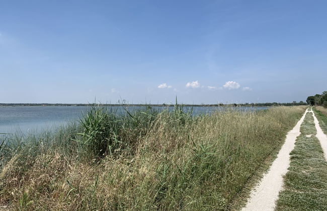 Casa delle Palme - Foto 36