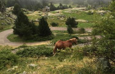 Apartamentos Ca de Marti - Foto 73