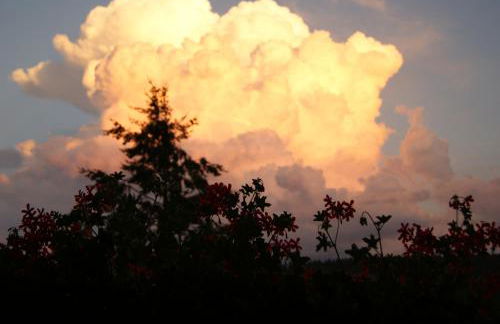 Schöne Aussicht - Foto 28