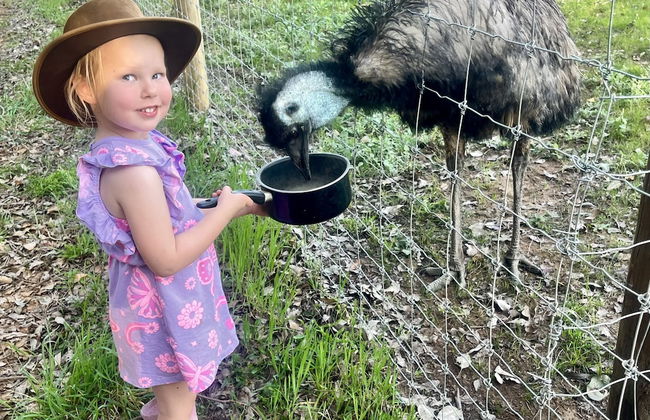 Jarrah Glen Cabins - Photo 27