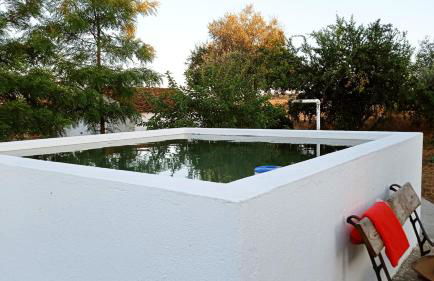 Monte das Andorinhas Alentejo - Foto 21