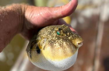 Relax,Fish,Grill,Chill! Pup,Kid Friendly Riverfront Paradise! Amenities,Gameroom - Foto 43