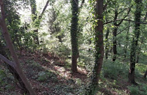 casa con bosco e vista mare - Foto 23