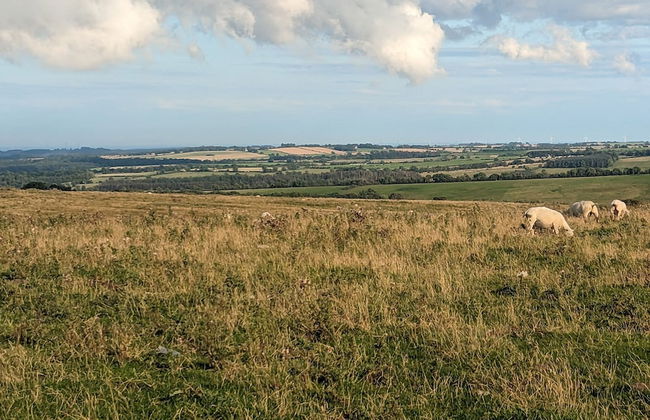 Stunning 1-bed Apartment in Rothbury, Morpeth - Foto 11