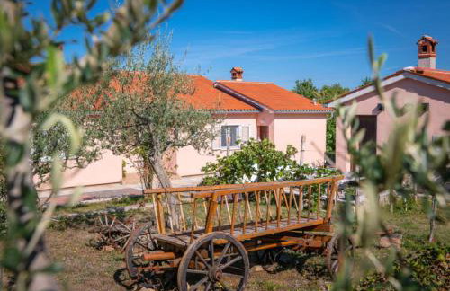 Villa Sabina - Breg Ivanovci - Photo 6